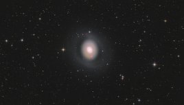M 94