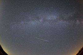 Perseida